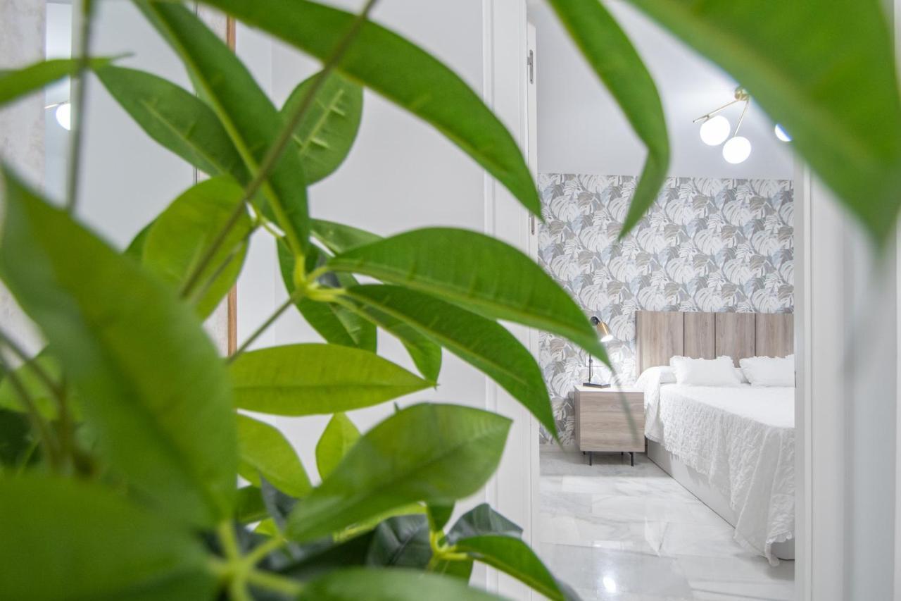 Apartamento La Magnolia De Cádiz Eksteriør bilde